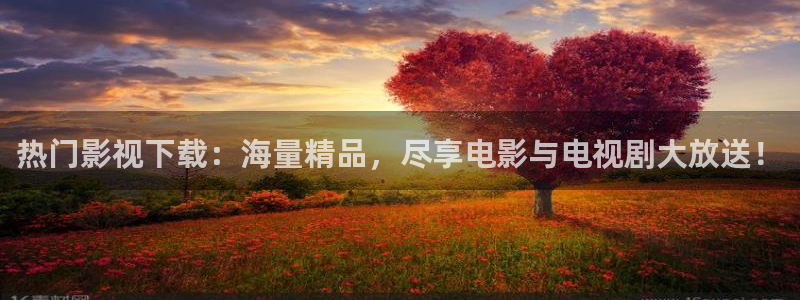 江门大地数字影院：热门影视下载：海量精品，尽享电影与电视剧大放送！
