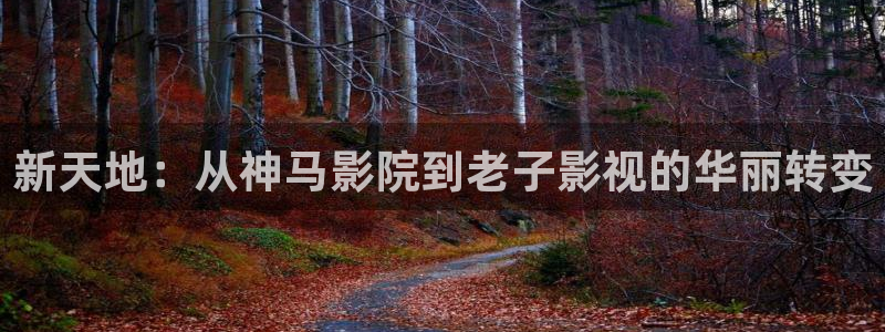 大地资源视频在线观看高清播放：新天地：从神马影院到老子影视的华丽转变