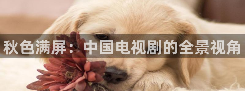 大地影院老板是谁：秋色满屏：中国电视剧的全景视角