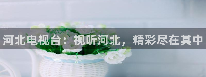 大地资源官网在线观看视频：河北电视台：视听河北，精彩尽在其中