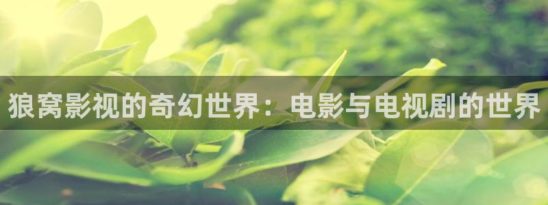 大地景泰影城：狼窝影视的奇幻世界：电影与电视剧的世界