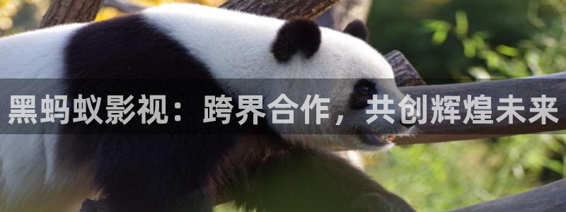 大地在线电影观看：黑蚂蚁影视：跨界合作，共创辉煌未来