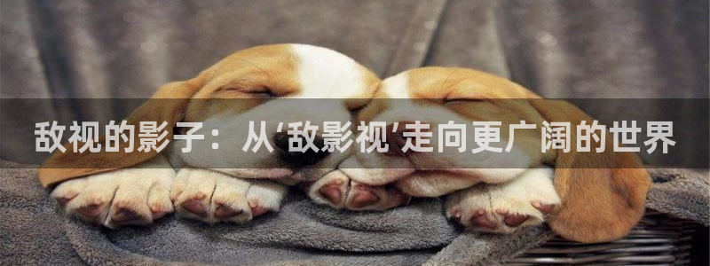 大地影院mv高清在线：敌视的影子：从‘敌影视’走向更广阔的世界