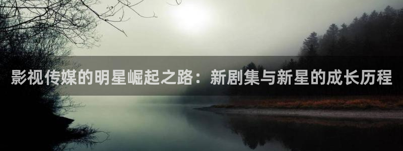 庐江方圆荟大地影院：影视传媒的明星崛起之路：新剧集与新星的成长历程