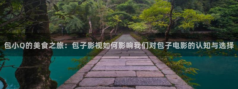 大地资源影视在线：包小Q的美食之旅：包子影视如何影响我们对包子电影的认知与选择